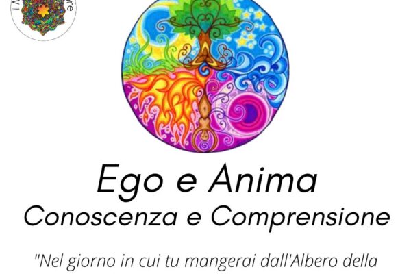 Conoscere = Comprendere ?