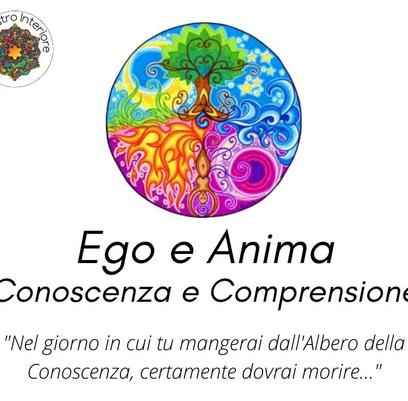 Conoscere = Comprendere ?